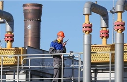 Đức muốn giảm 50% lượng dầu nhập khẩu của Nga vào mùa Hè