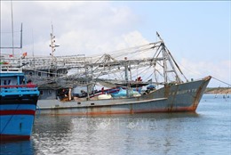 Nhiều tàu ‘67’ ở Phú Yên thua lỗ, bị kê biên