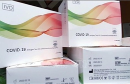 Thu giữ lô hàng sinh phẩm xét nghiệm và thuốc kháng COVID-19 nhập lậu