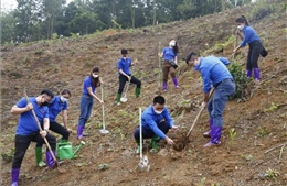 Đoàn Thanh niên TTXVN hỗ trợ công tác giảm nghèo bền vững tại Tuyên Quang