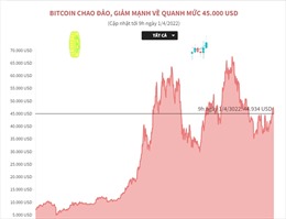 Bitcoin chao đảo, giảm mạnh về quanh mức 45.000 USD
