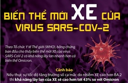 Biến thể mới XE của virus SARS-CoV-2