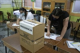 Bắt đầu vòng 2 cuộc bầu cử tổng thống Costa Rica 
