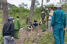 Bắt quả tang 5 đối tượng đang phá rừng lấn chiếm đất ở Đà Lạt, Lâm Đồng