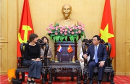 Tăng cường hợp tác giữa Học viện Chính trị quốc gia Hồ Chí Minh với Hà Lan, Mozambique