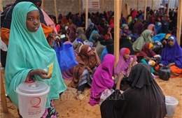 Liên hợp quốc kêu gọi nguồn lực tài chính cứu đói cho Somalia và Nam Sudan