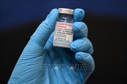 Vaccine kép ngừa biến thể Beta của Moderna mang lại hiệu quả phòng chống Omicron cao
