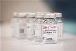 EMA đánh giá khả năng sử dụng vaccine ngừa COVID-19 của Moderna cho trẻ dưới 5 tuổi