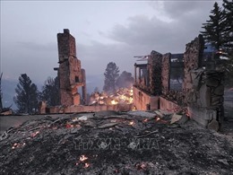 Chính quyền bang New Mexico yêu cầu người dân sơ tán tránh cháy rừng