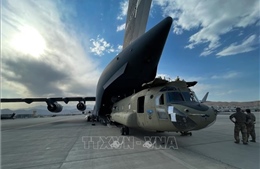 Mỹ: Phê duyệt thương vụ bán máy bay trực thăng CH-47F Chinook cho Đức