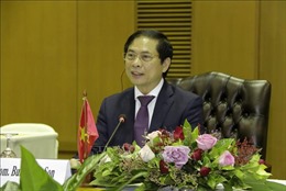 Tham vấn thường niên cấp Bộ trưởng Ngoại giao Việt Nam - Lào lần thứ 9  