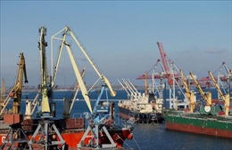 EU gia hạn quy định miễn thuế nhập khẩu từ Ukraine