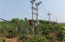 Kon Tum: Gia tăng tình trạng trộm cắp thiết bị đang vận hành lưới điện