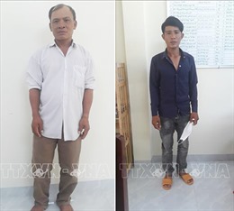 Khởi tố, bắt tạm giam các đối tượng hành hung lực lượng bảo vệ rừng ở Ninh Thuận