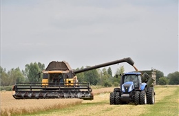Tổng thống Zelensky: Ukraine không thể xuất khẩu hàng chục triệu tấn ngũ cốc