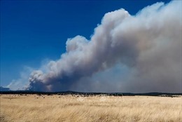 Gió to cản trở hoạt động khống chế cháy rừng tại Mỹ