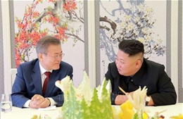 Tổng thống Hàn Quốc mãn nhiệm Moon Jae-in kêu gọi nối lại đối thoại liên Triều