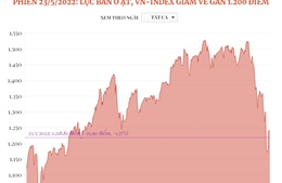 Phiên 23/5/2022: Lực bán ồ ạt, VN-Index giảm về gần 1.200 điểm