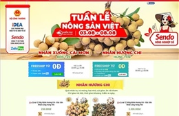 Kết nối quảng bá và tiêu thụ hàng Việt qua các kênh phân phối trực tuyến