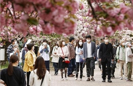 Nhật Bản đứng đầu danh sách điểm đến du lịch yêu thích năm 2021