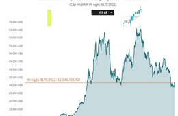 Giá Bitcoin vượt 31.000 USD, thị trường bùng nổ