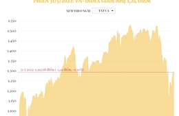 Phiên 31/5/2022: VN-Index giảm nhẹ 1,24 điểm