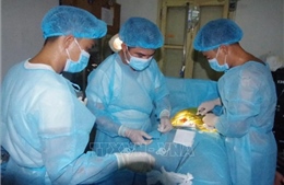 Khánh Hòa: Bệnh xá đảo Phan Vinh phẫu thuật cứu sống ngư dân viêm ruột thừa cấp 