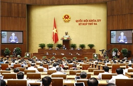 Cử tri TP Hồ Chí Minh: Chương trình chất vấn, trả lời chất vấn thể hiện trách nhiệm cao với cử tri