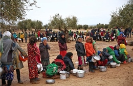 FAO cảnh báo nguy cơ có thêm từ 11 triệu - 19 triệu người bị đói 