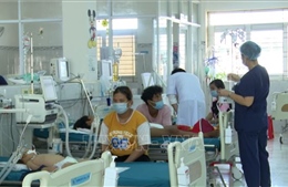 Gia Lai: Nỗ lực ngăn ngừa và kiểm soát bệnh sốt xuất huyết bùng phát