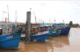 Bạc Liêu giám sát chặt tàu cá có nguy cơ cao vi phạm vùng biển nước ngoài