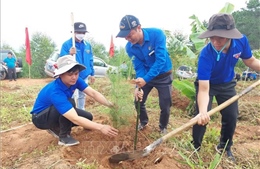 Kon Tum: Phát động trồng cây tại hai Di tích Quốc gia đặc biệt 