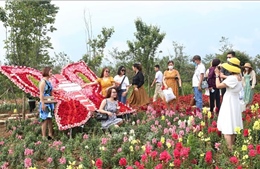 Lào Cai tổ chức nhiều sự kiện văn hóa, du lịch đặc sắc thu hút du khách