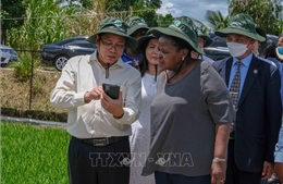 Chủ tịch Quốc hội Mozambique thăm Viện Lúa đồng bằng sông Cửu Long