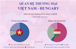 Quan hệ thương mại Việt Nam - Hungary