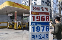 Chính phủ Hàn Quốc nỗ lực tối đa để bình ổn lạm phát
