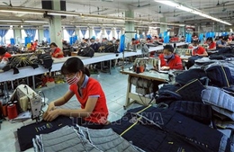 Những thách thức trên hành trình phục hồi kinh tế của Việt Nam 
