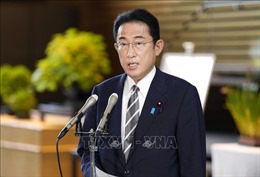 Nhật Bản: Tỷ lệ ủng hộ Nội các của Thủ tướng Fumio Kishida tăng mạnh 