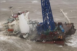 Bão Chaba đổ bộ vào Trung Quốc, sóng dâng cao 10m đánh vỡ đôi tàu ở Hong Kong