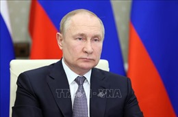 Tổng thống Nga nhận định về tiến trình đàm phán với Ukraine 