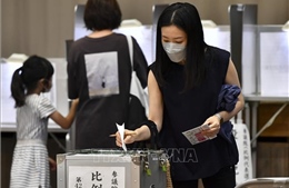Bầu cử Thượng viện Nhật Bản: Liên minh cầm quyền có thể giành được hơn 63 ghế