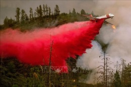 Trên 500 lính cứu hỏa nỗ lực dập lửa tại vườn quốc gia Yosemite
