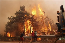 Châu Âu căng thẳng chống cháy rừng, 70 thành phố ở Bồ Đào Nha đối mặt rủi ro lớn