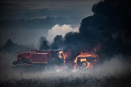 Pháp: Cháy rừng hướng tới nơi đặt trụ sở của lực lượng cứu hỏa tỉnh Ardeche