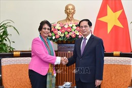 Ngoại trưởng Việt Nam và Giám đốc UNDP châu Á bàn trọng tâm hợp tác tương lai