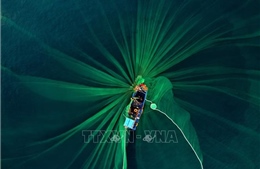 Ngắm những khoảnh khắc đẹp nghề lưới vây cá cơm ở Phú Yên