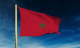 Điện mừng nhân kỷ niệm lần thứ 23 ngày lên ngôi của Quốc vương Morocco