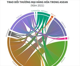 Trao đổi thương mại hàng hóa trong ASEAN