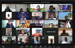Hội thảo trực tuyến kết nối kinh doanh Việt Nam - Cote d&#39;Ivoire