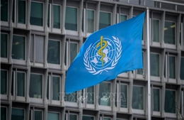 Liên hợp quốc và Nhật Bản nhất trí thành lập văn phòng mới của WHO 